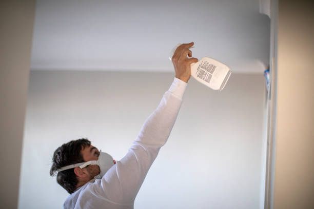 Best Mold Remediation  in Sandy, UT