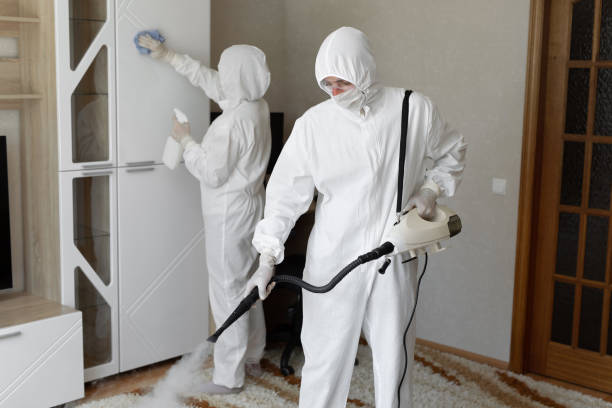 Mold Testing and Removal in Sandy, UT